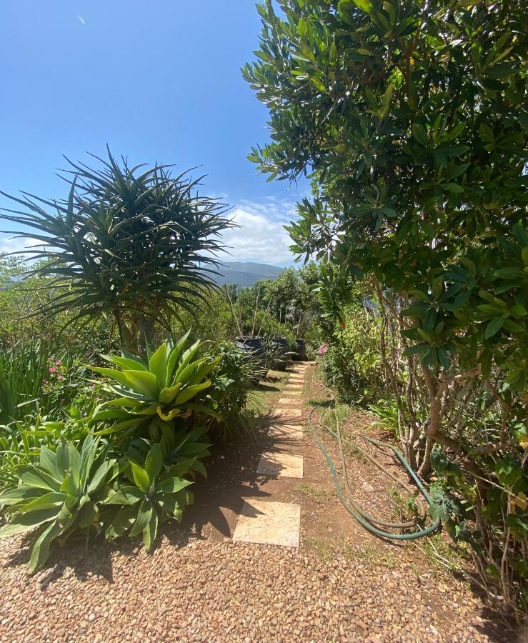 Appartamento Round The Bend Wildernis Esterno foto